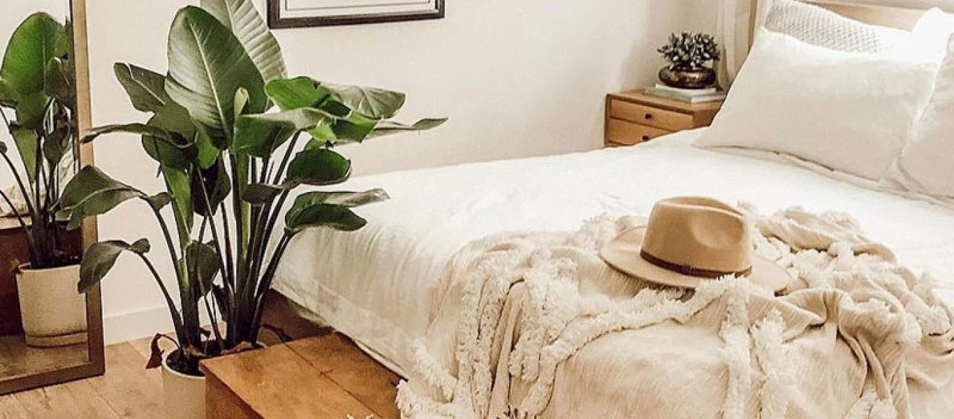 Ποια φυτά θα βάλετε στο δωμάτιό σας για να κοιμηθείτε άνετα;